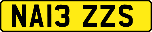 NA13ZZS