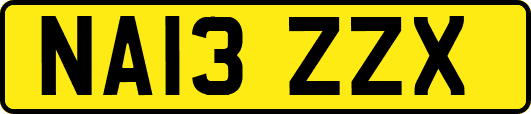 NA13ZZX