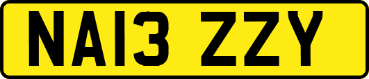 NA13ZZY