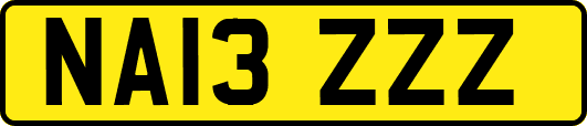 NA13ZZZ