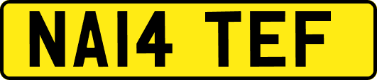 NA14TEF