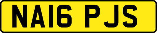 NA16PJS