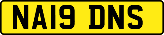 NA19DNS