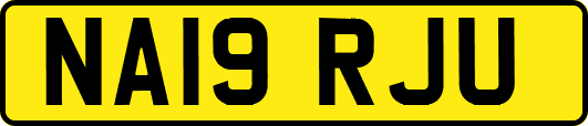 NA19RJU