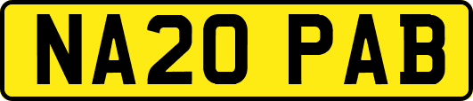 NA20PAB