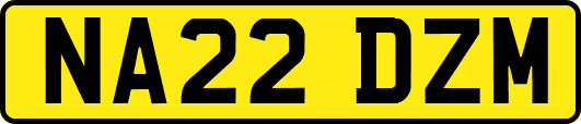NA22DZM