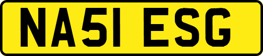 NA51ESG