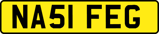 NA51FEG