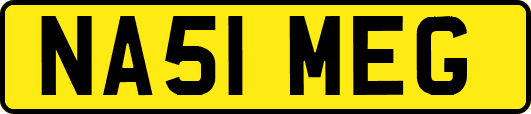 NA51MEG
