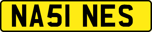 NA51NES