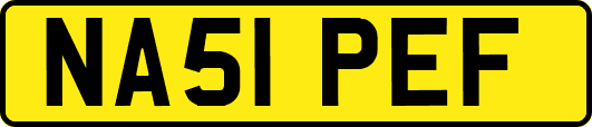 NA51PEF