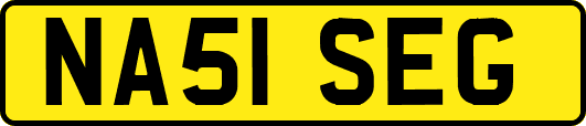 NA51SEG