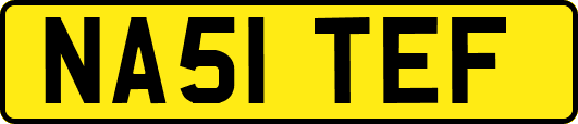 NA51TEF