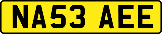 NA53AEE