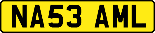 NA53AML