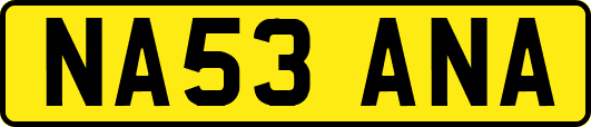 NA53ANA