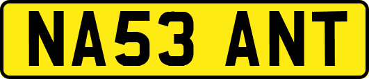NA53ANT