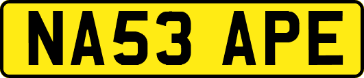 NA53APE