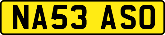 NA53ASO