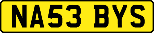NA53BYS