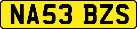 NA53BZS
