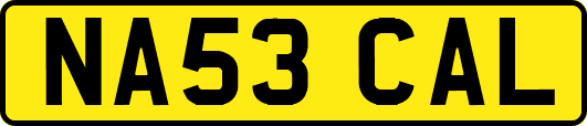 NA53CAL