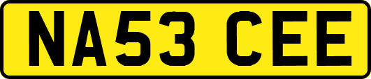 NA53CEE