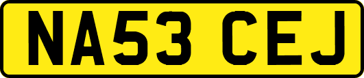 NA53CEJ