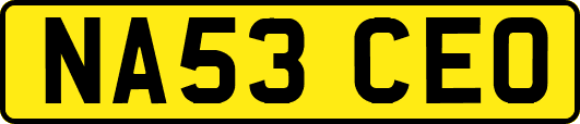 NA53CEO
