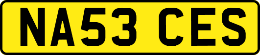 NA53CES
