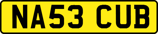 NA53CUB