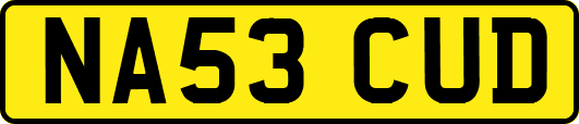 NA53CUD