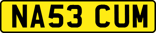NA53CUM