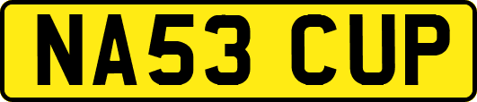NA53CUP