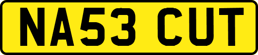 NA53CUT