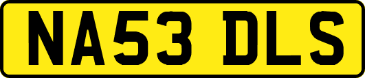 NA53DLS