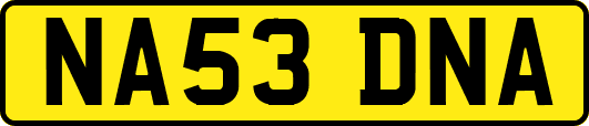NA53DNA