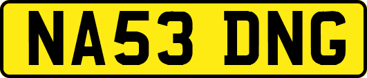 NA53DNG