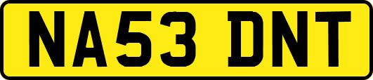 NA53DNT