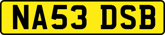 NA53DSB