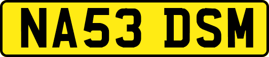 NA53DSM