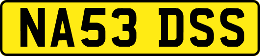 NA53DSS