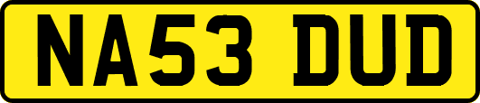 NA53DUD