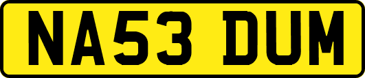NA53DUM