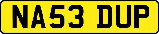 NA53DUP