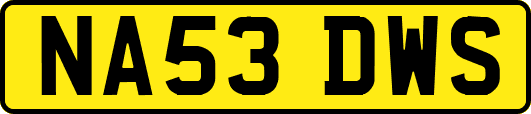 NA53DWS