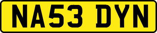 NA53DYN