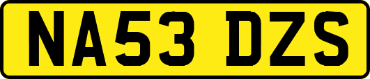 NA53DZS