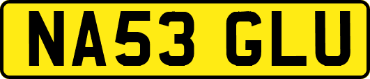 NA53GLU