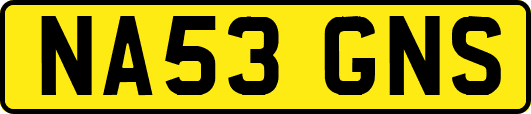 NA53GNS